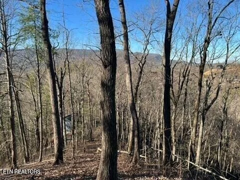 Photo of 2353 Headrick Lead