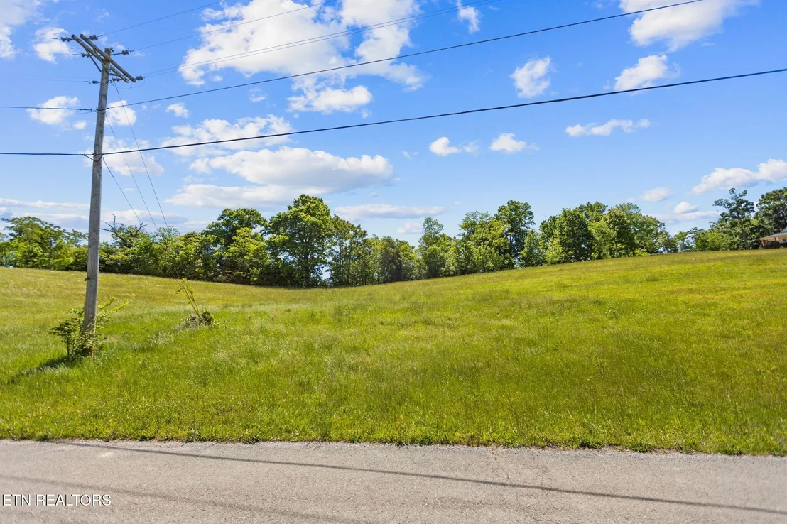 Photo of lot 44 Holston River Drive