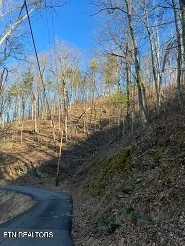 Photo of 2353 Headrick Lead