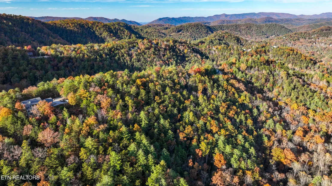 Photo of Bear Den Rd