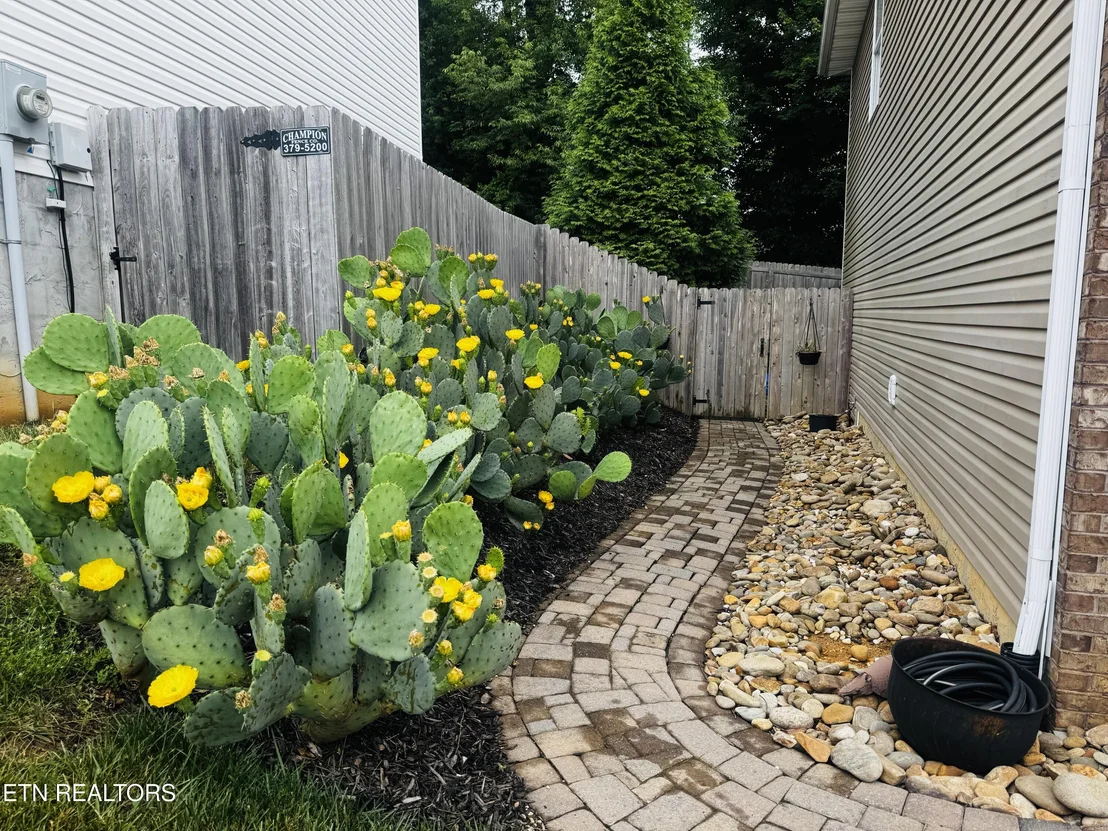 Photo of 6101 Starflower Lane