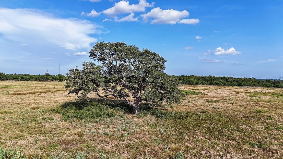 Photo of 2171 E Highway 237