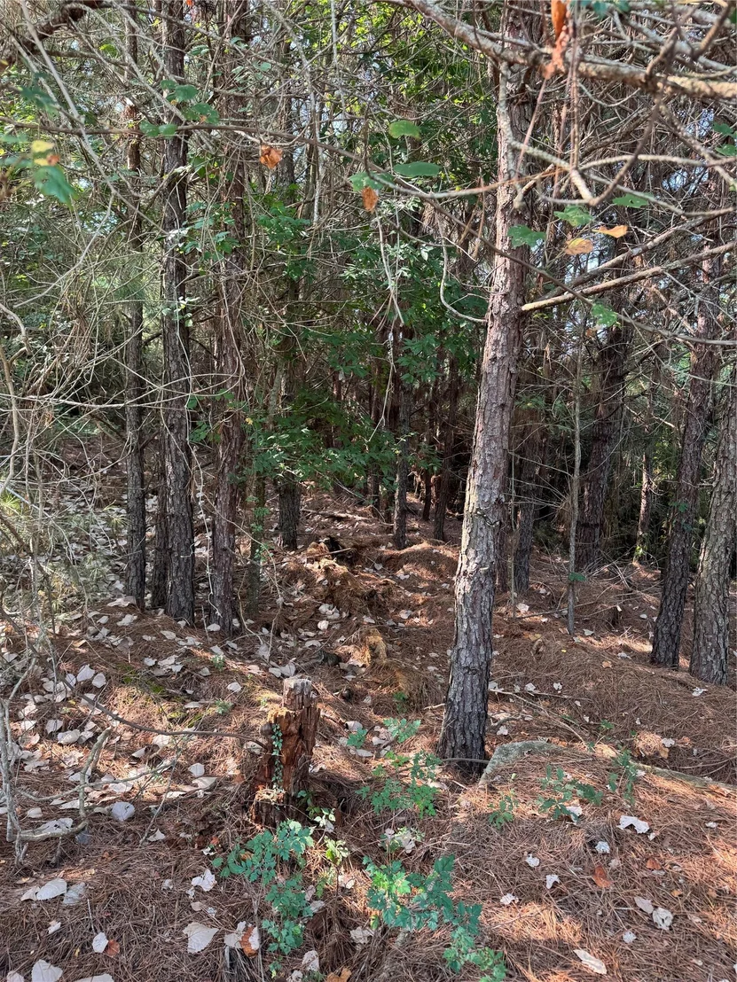 Photo of 131 Nakalele LN