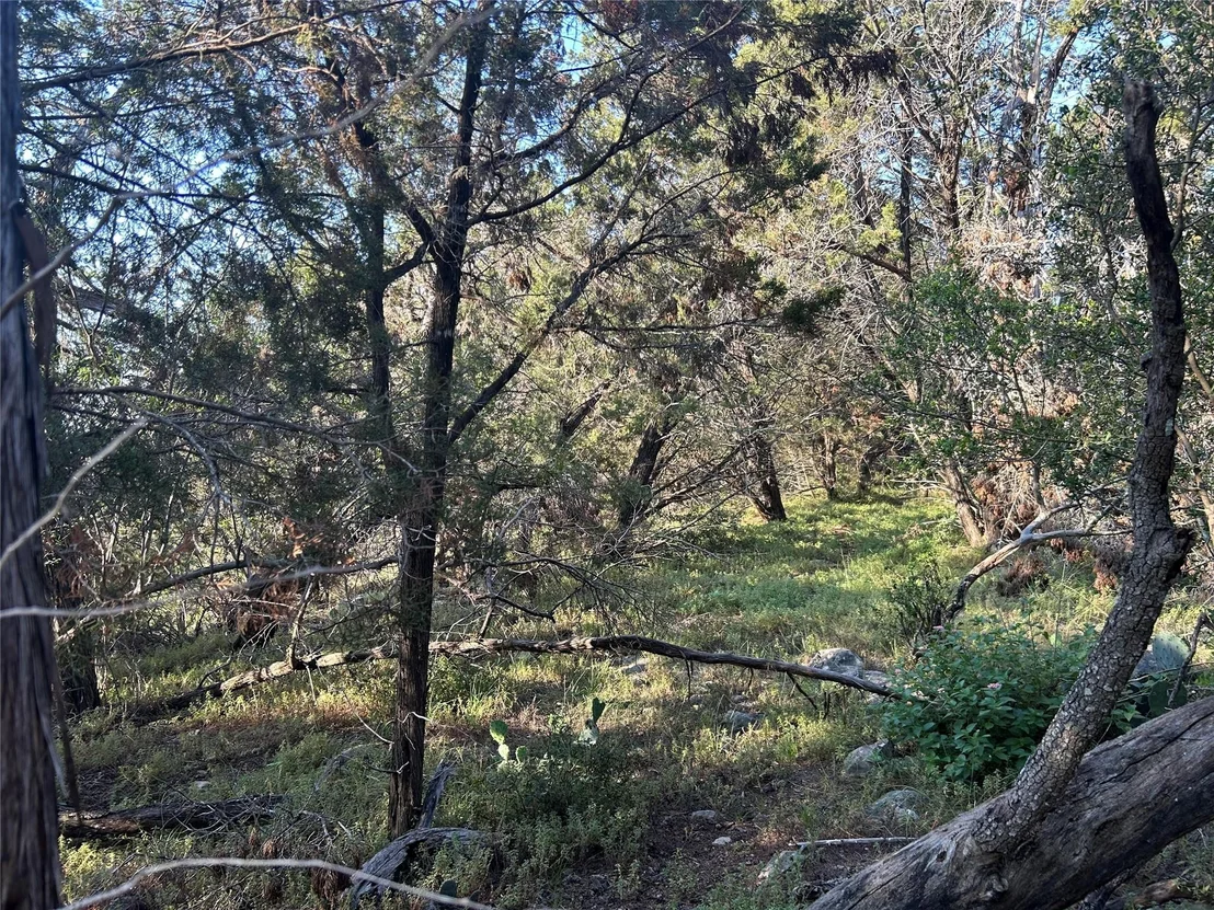 Photo of 20804 Hawthorne CV
