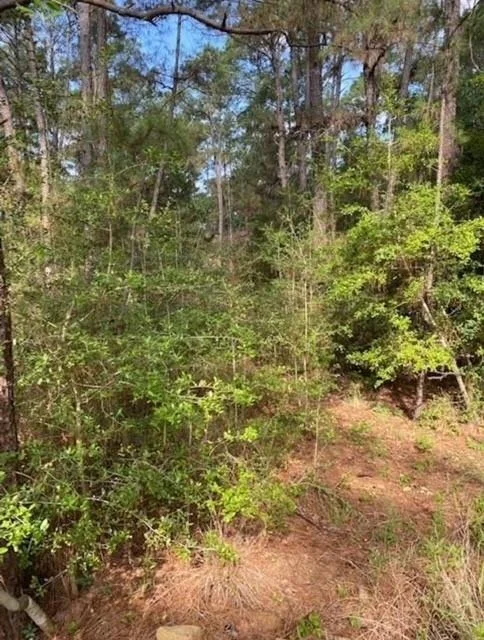 Photo of Lot 93 Papawai DR