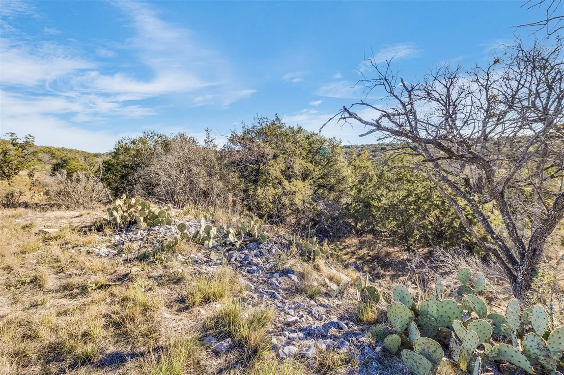 Photo of 702 Pinto