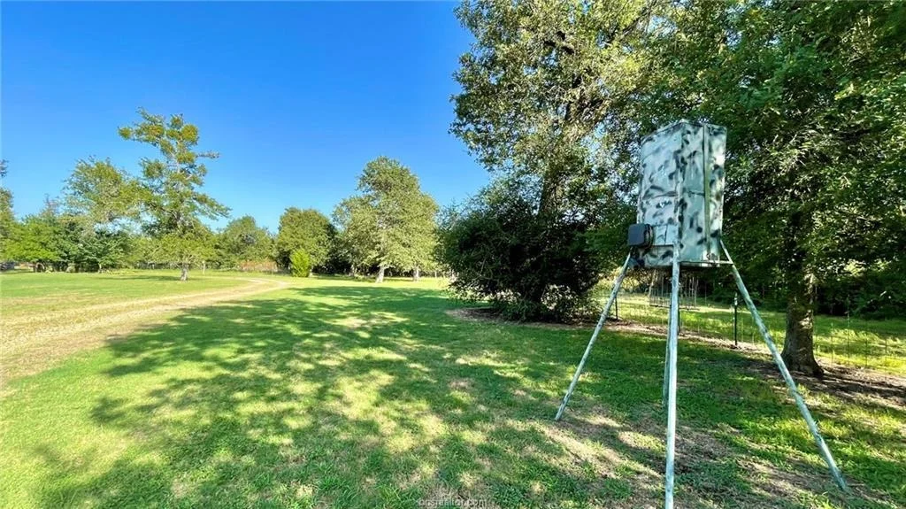 Photo of 750 County Rd 206A (15.5 Acres)