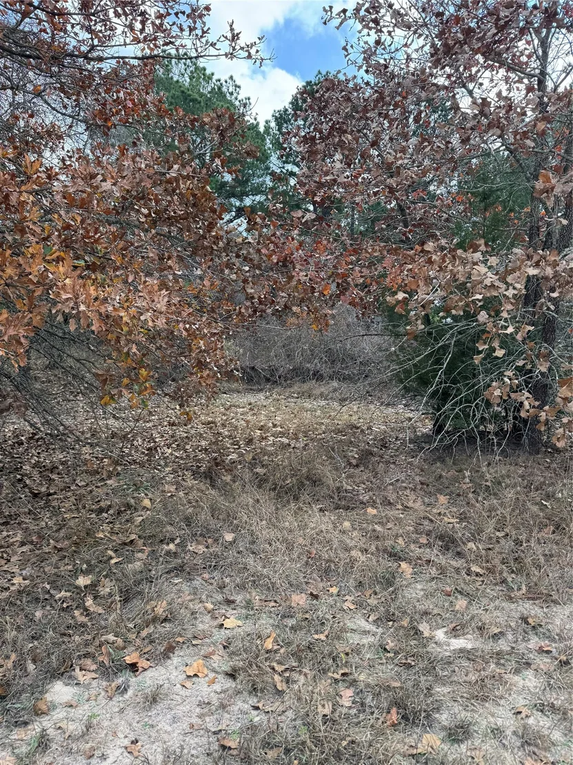 Photo of Lot 7 Cool Water DR