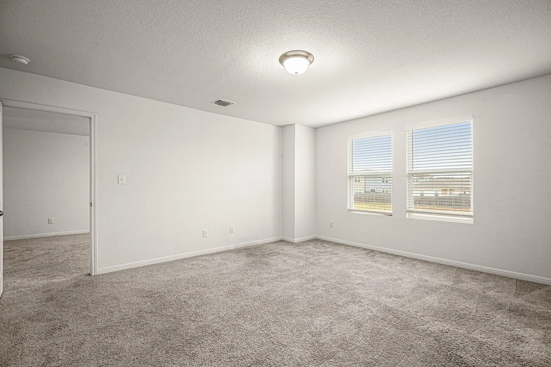 Photo of 109 Gray Fox LOOP