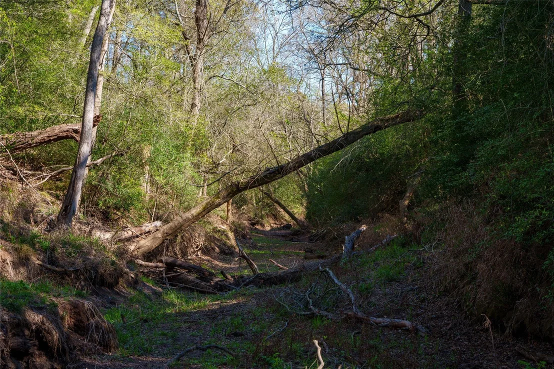 Photo of 1700 County Road 216
