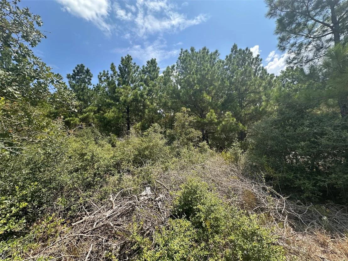 Photo of LOT 42 Hereford LN