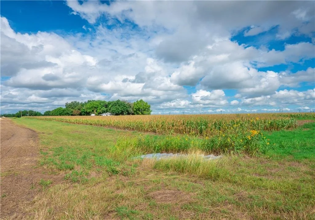Photo of 703 County Road 368