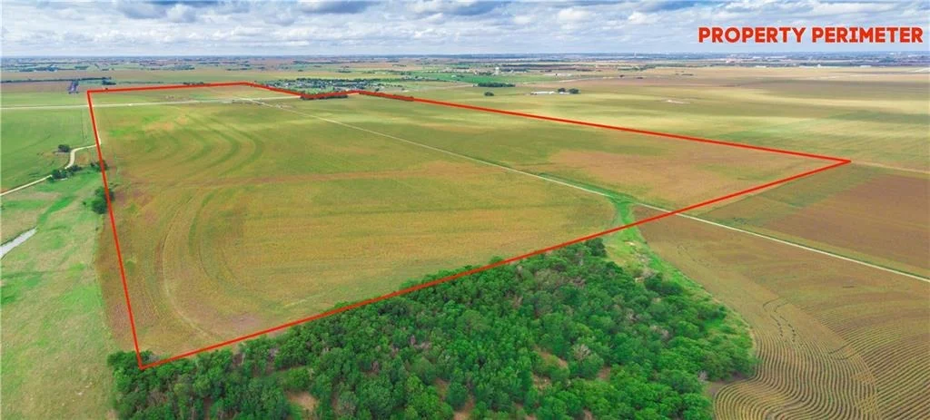 Photo of 703 County Road 368