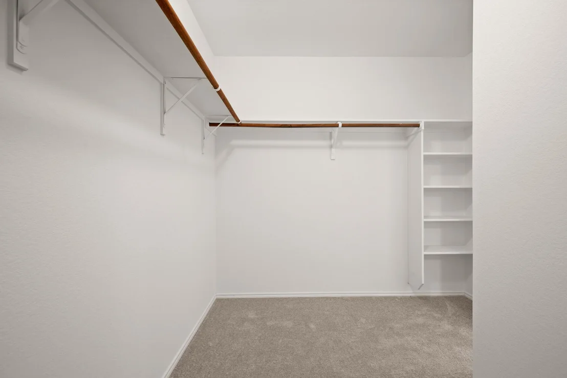 Photo of 161 PLUMBAGO CV