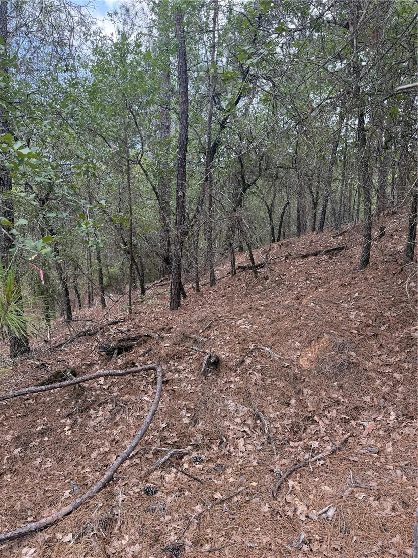 Photo of Lots 213 and 214 Hekili DR