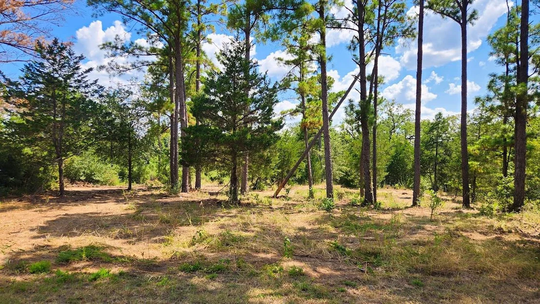 Photo of TBD Modock DR