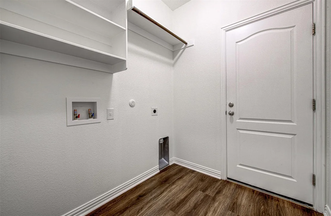 Photo of 306 Snow Owl HOLW