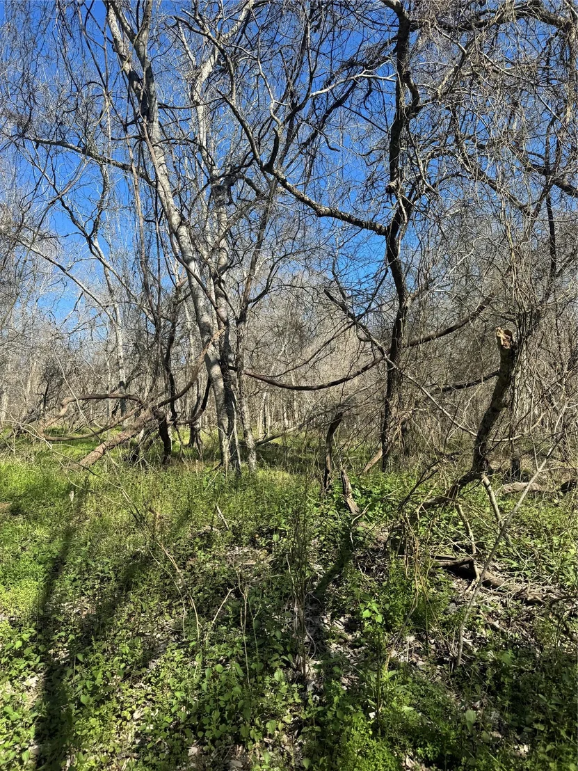 Photo of Lot 961 Riverside DR