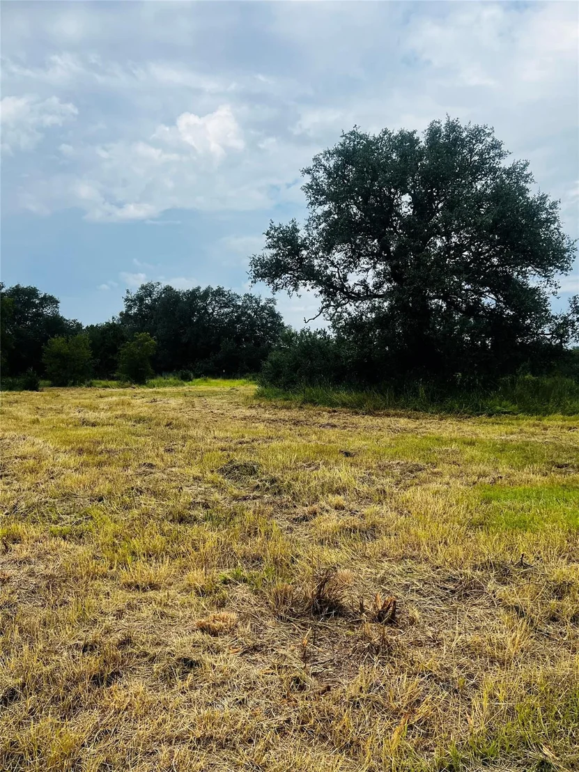 Photo of 241 Lehne LOOP