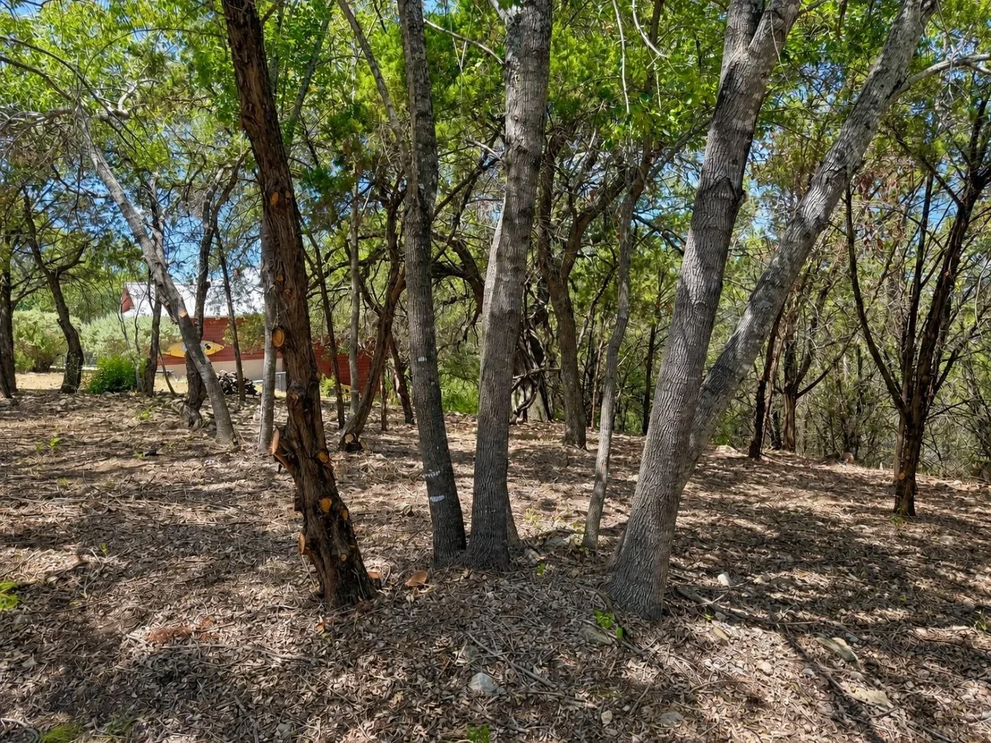 Photo of Lots 5 and 6 Courtside LN