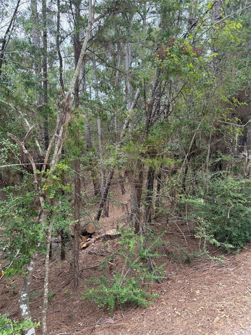 Photo of Lots 213 and 214 Hekili DR