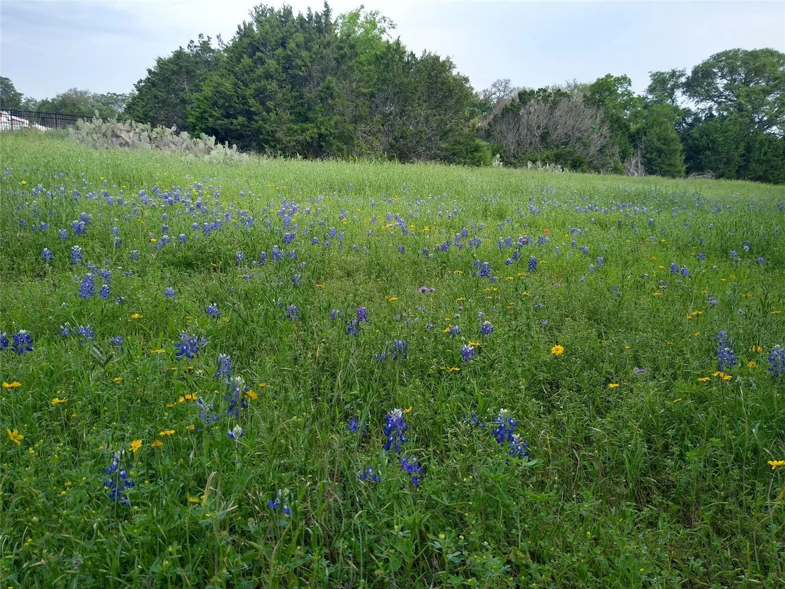 Photo of 75 Four T Ranch RD