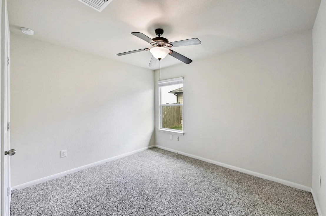 Photo of 245 Voss