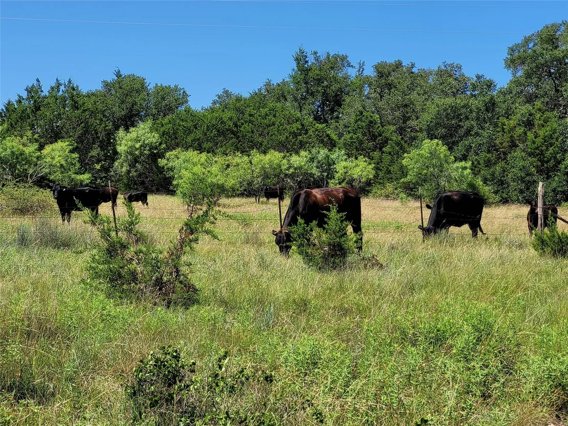 Photo of TBD CR 1139 575 Acres