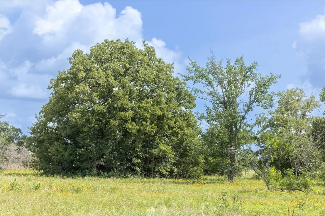 Photo of 1382 County Road 125