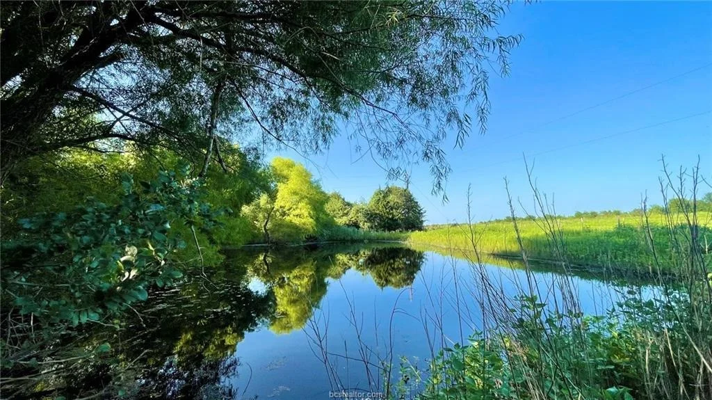 Photo of 750 County Rd 206A (15.5 Acres)
