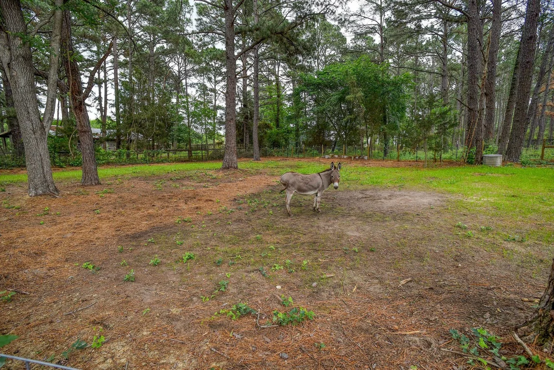 Photo of 121 Pony Grass LN