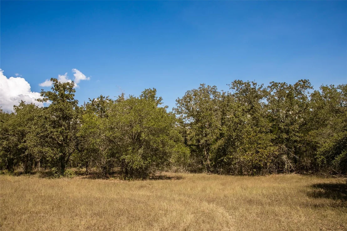 Photo of TBD FM 180