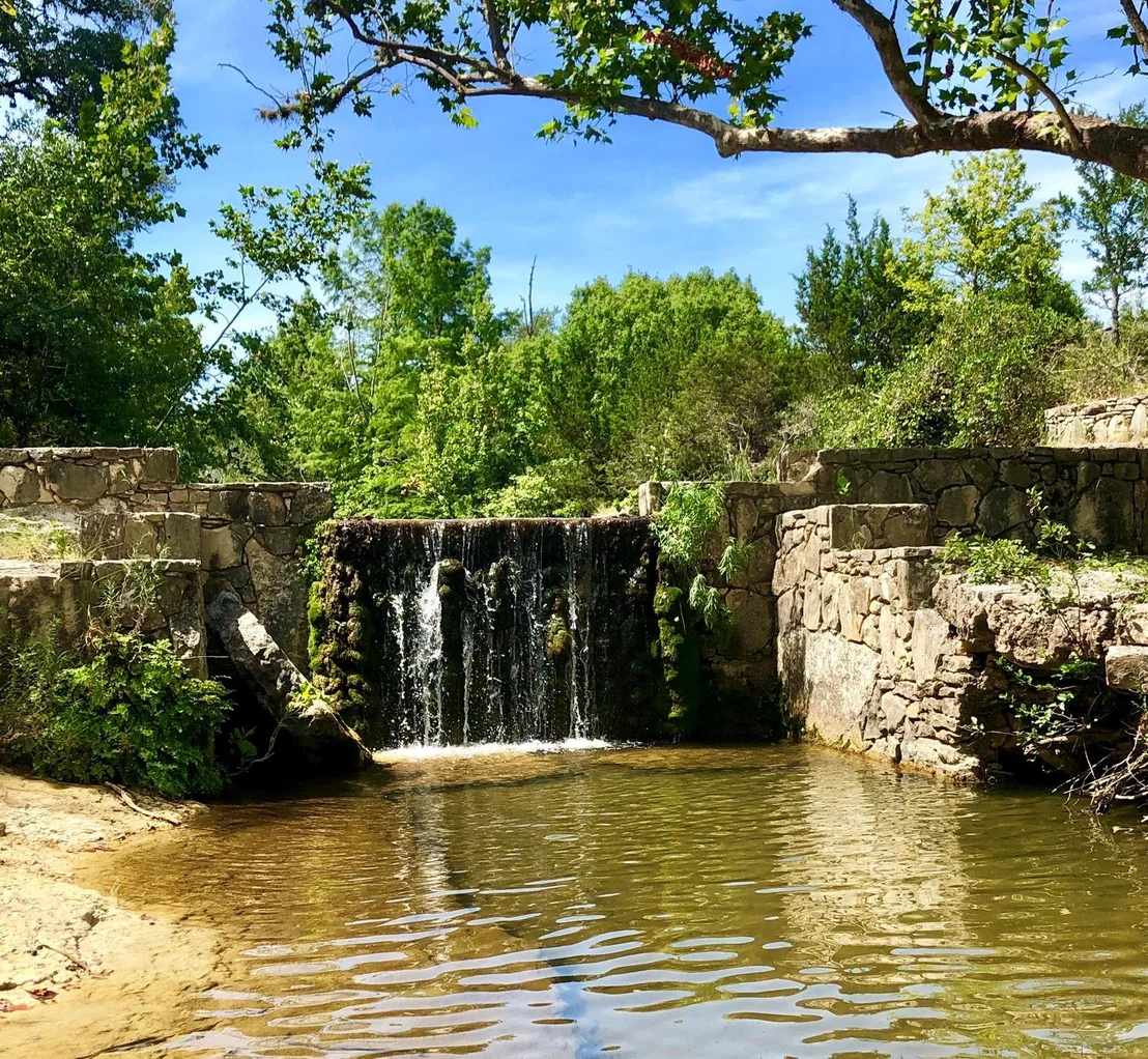 Photo of 100 Dario DR