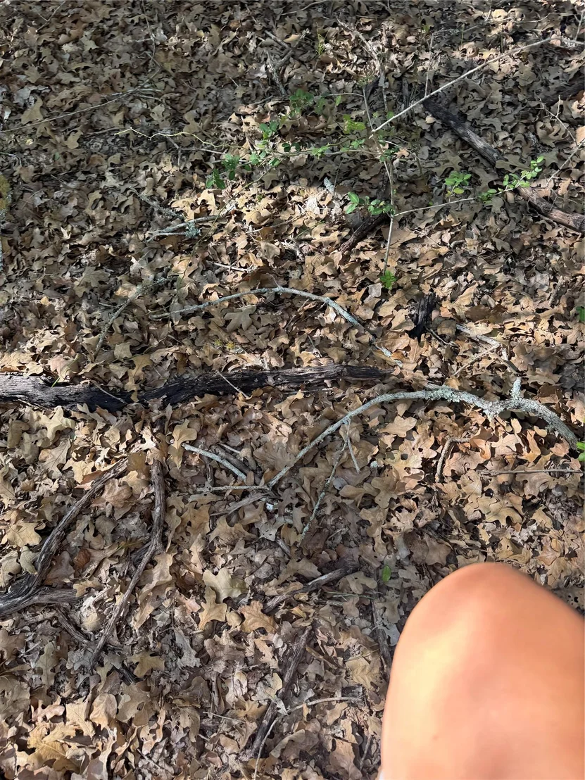Photo of Lot 195 Kaelepulu DR