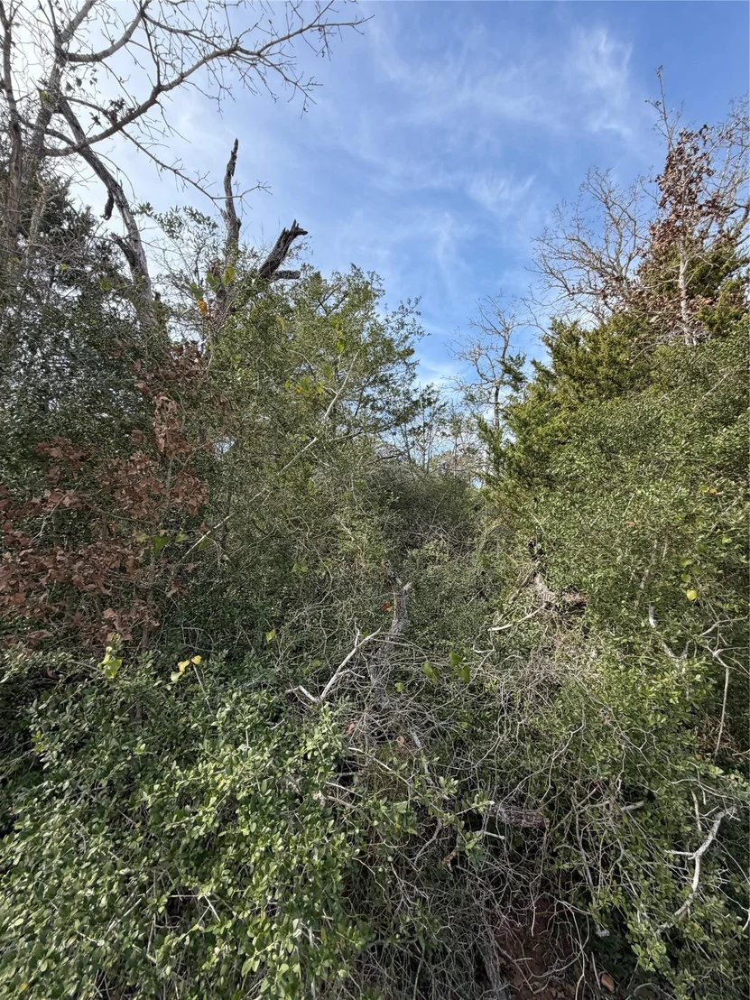 Photo of Lot 21 Flint Ridge ST