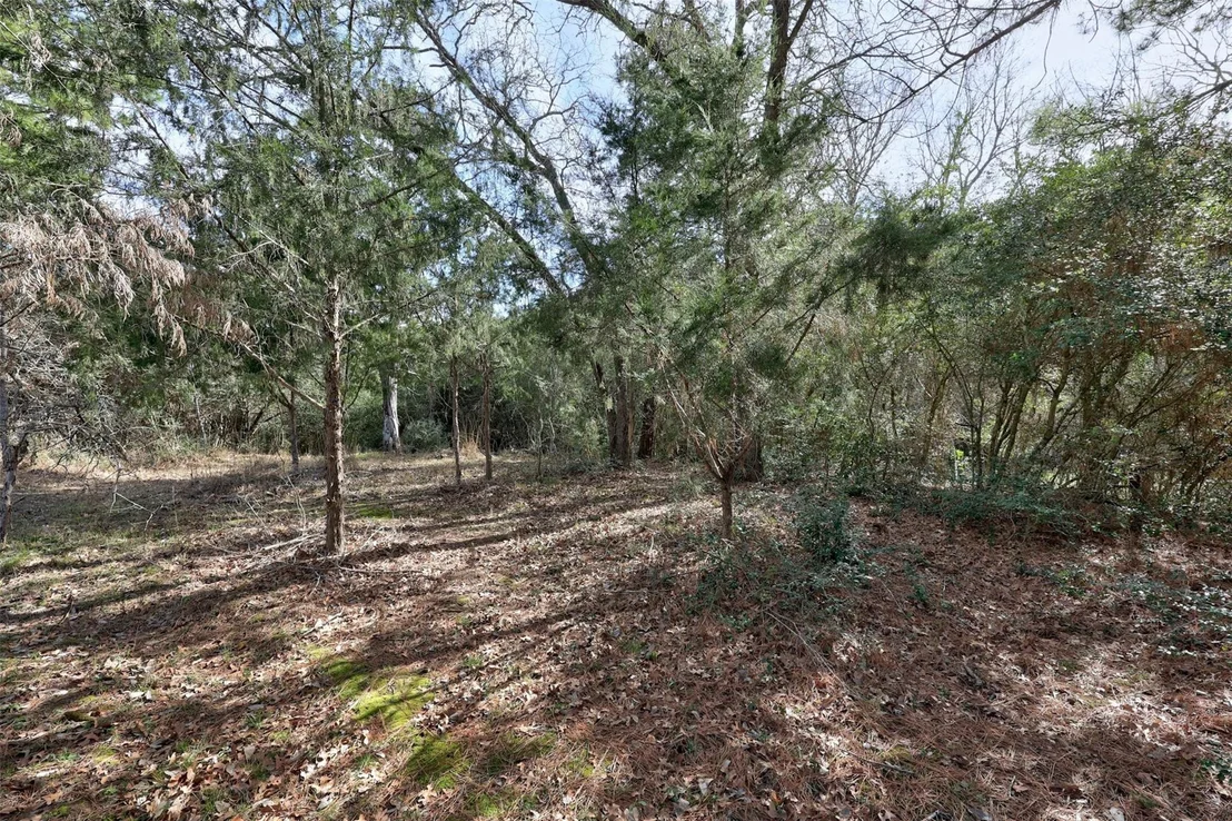 Photo of 888 Pine Valley LOOP