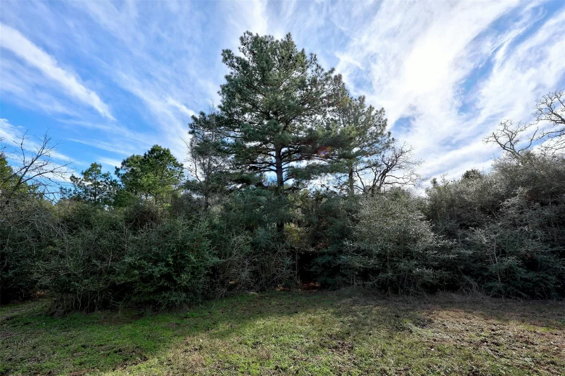 Photo of 888 Pine Valley LOOP