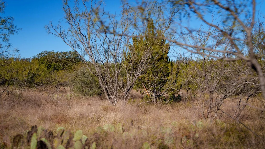 Photo of 532 County Road 468