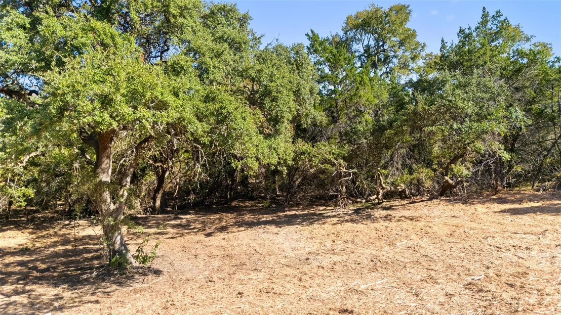Photo of 817 Rutherford