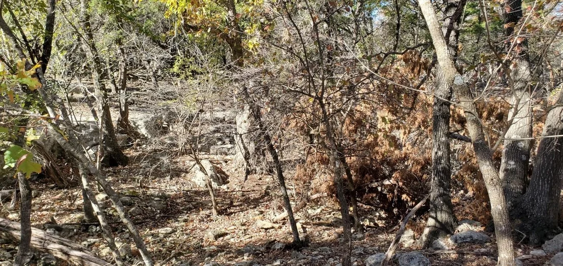 Photo of 5500 Cliff LN