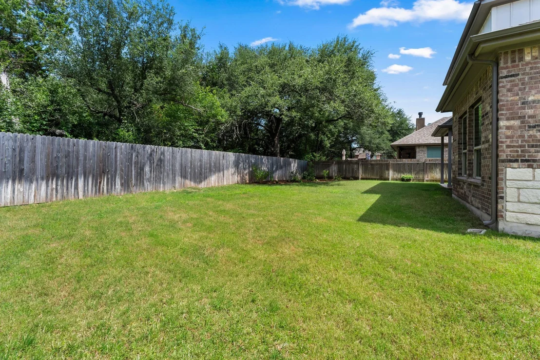 Photo of 226 Orange Mimosa LN