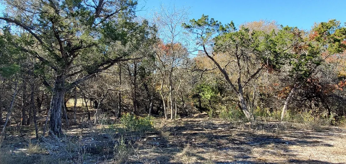 Photo of 5500 Cliff LN