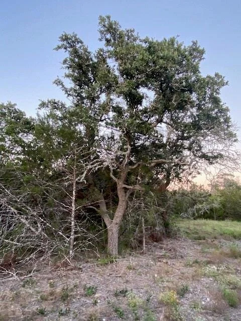 Photo of TBD County Road 252