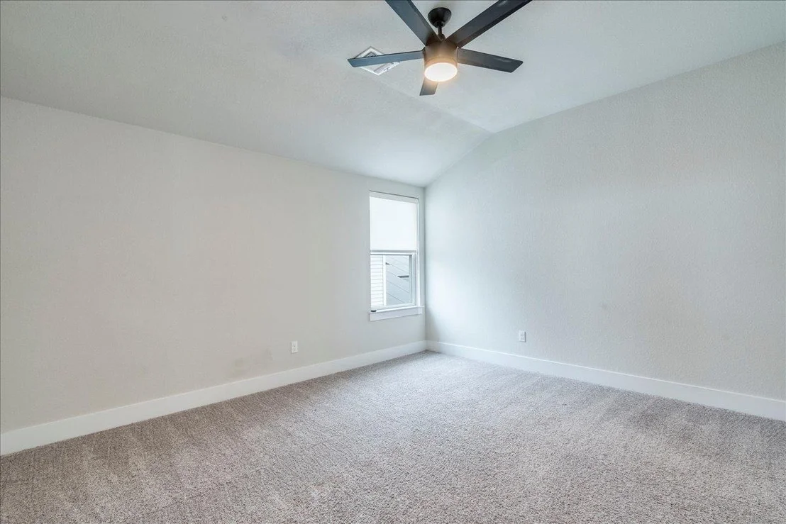 Photo of 11108 American Mustang LOOP