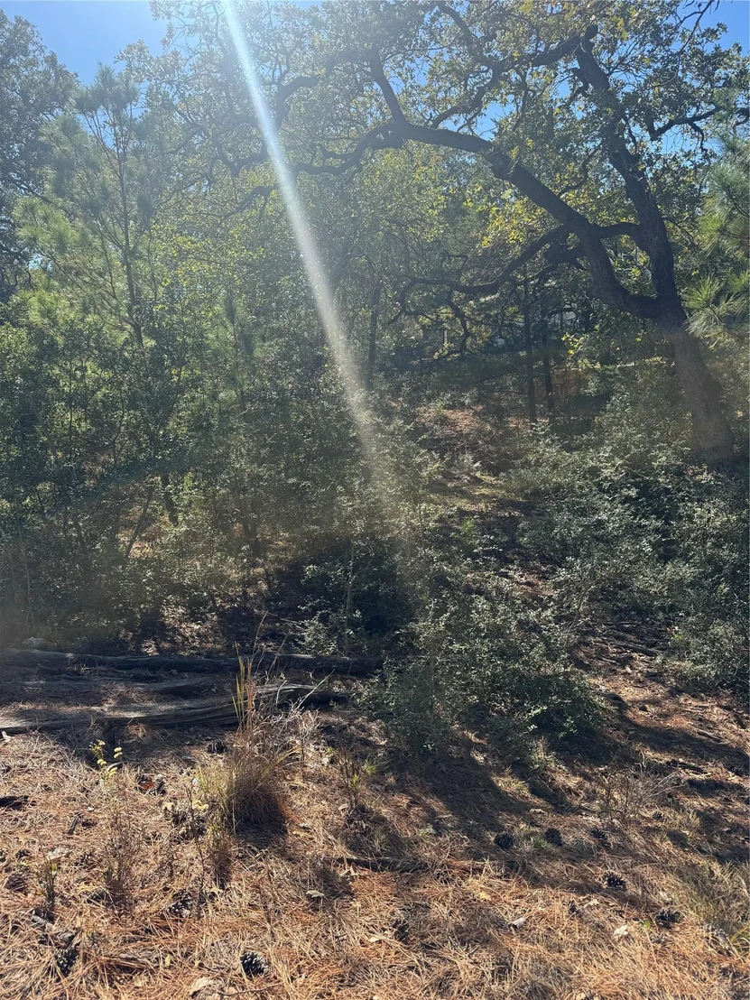 Photo of Lot 97 Kaelepulu DR