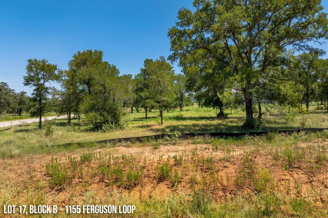 Photo of 1155 Ferguson LOOP