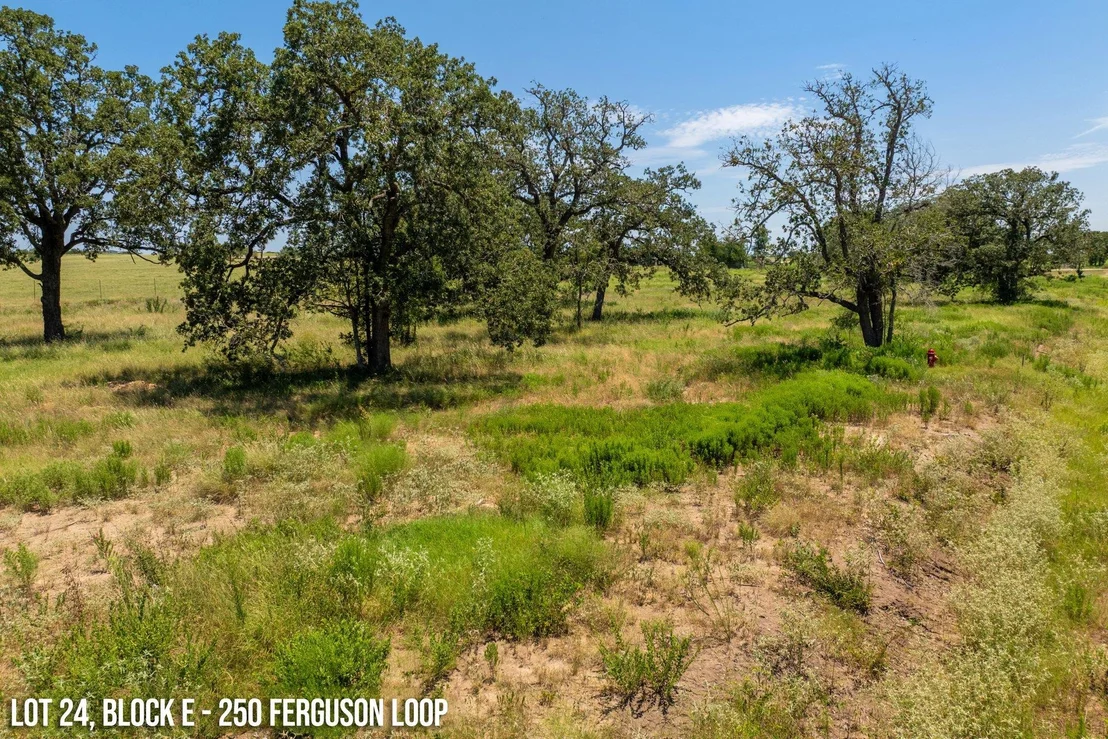 Photo of 250 Ferguson LOOP
