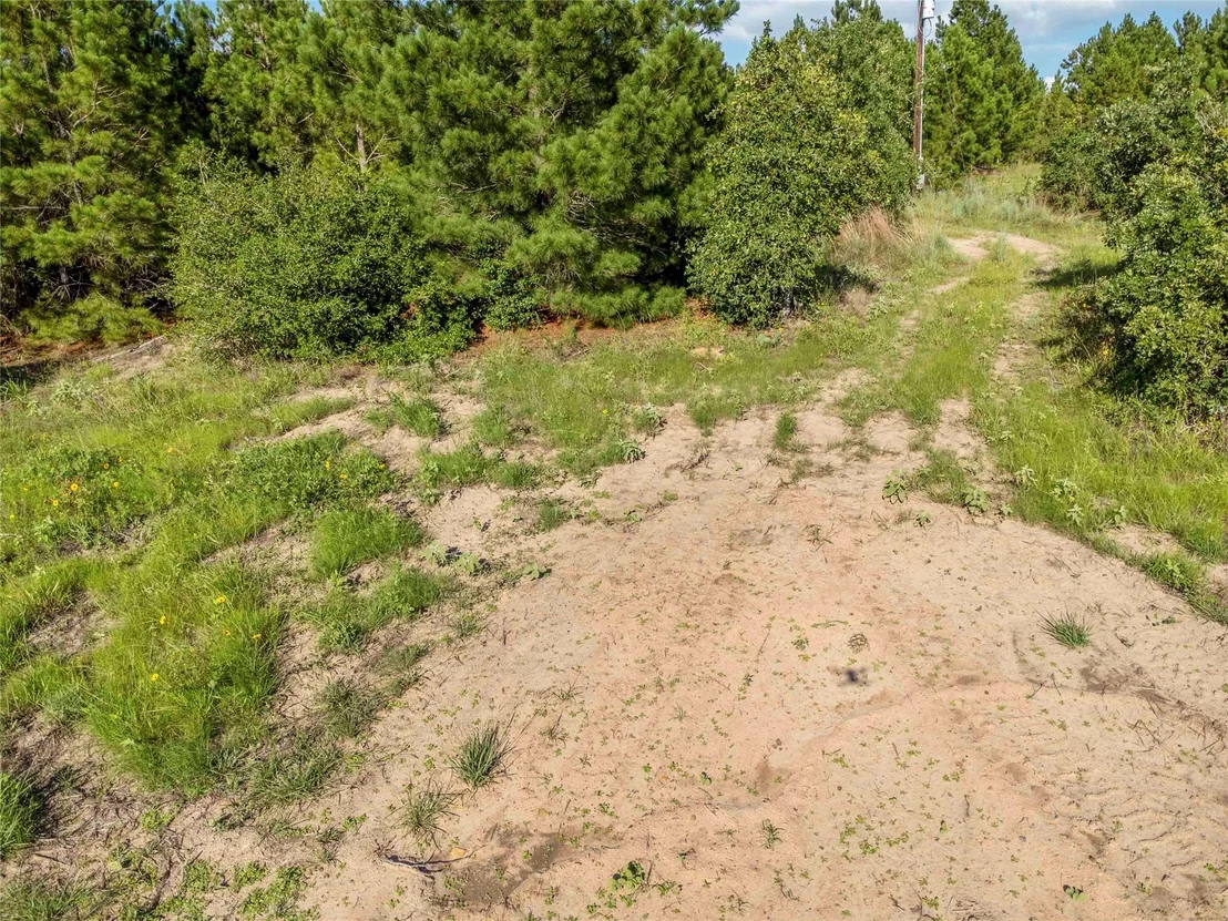 Photo of Lot 2 Autumn RDG