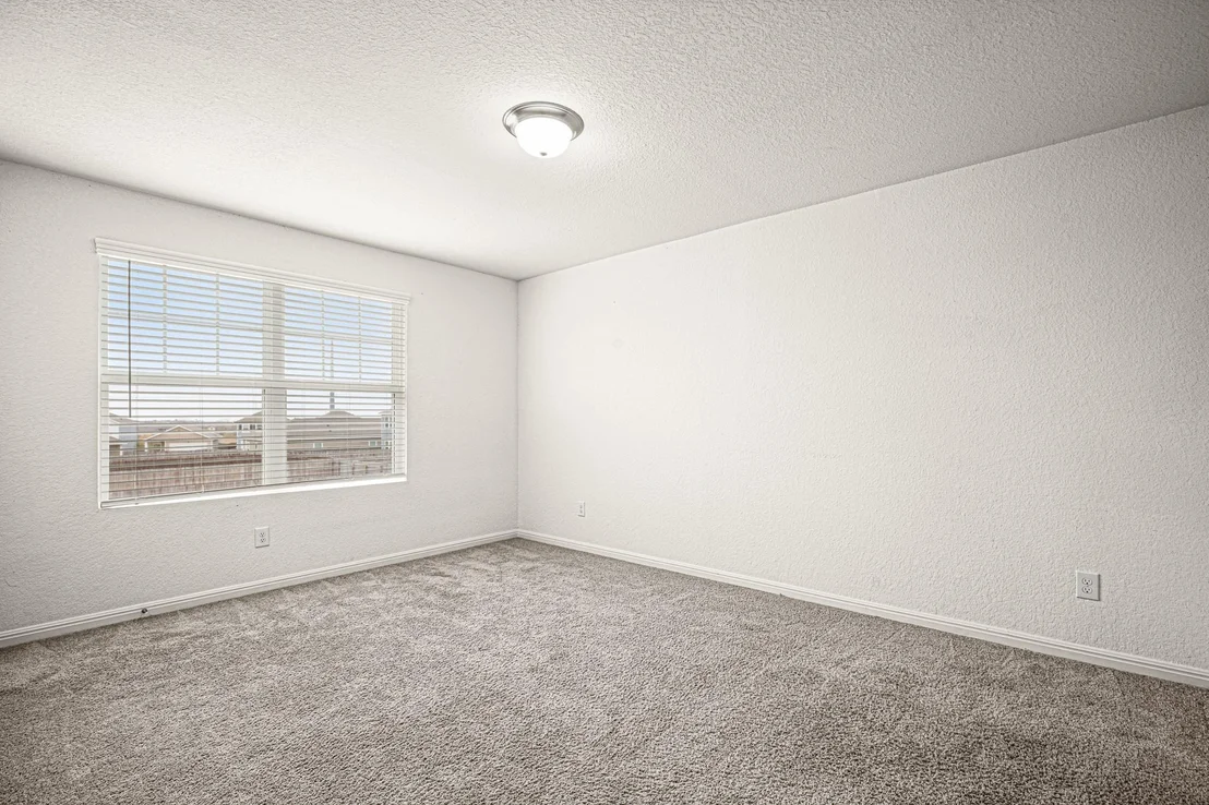 Photo of 109 Gray Fox LOOP