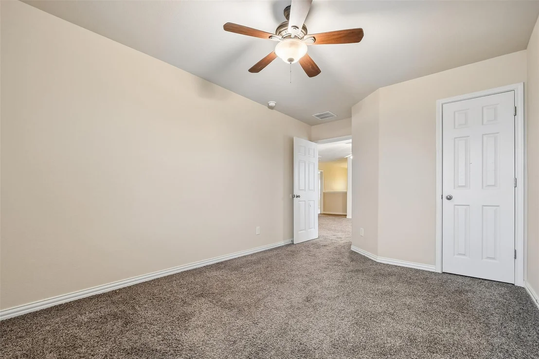 Photo of 8333 Angelo LOOP